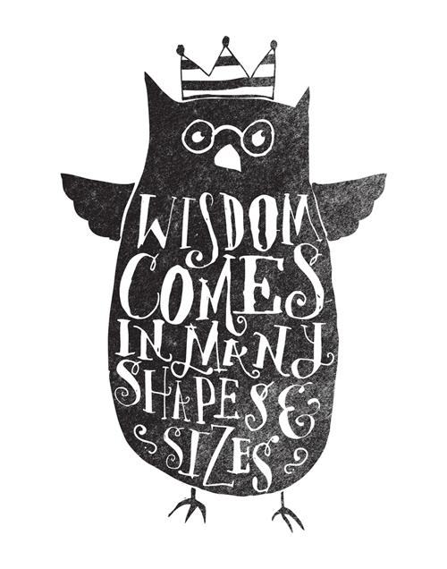 owl wisdom 